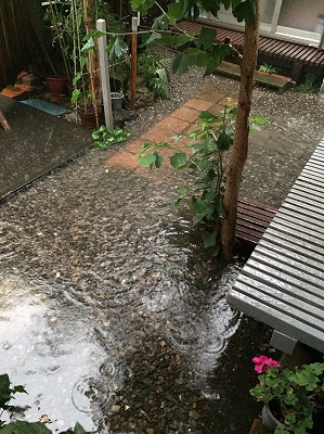 b0145863_20314672.jpg