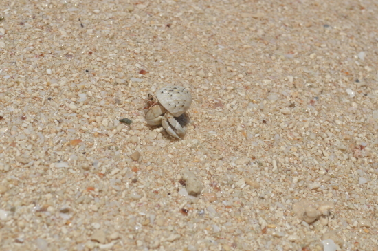 f0312278_10052732.jpg