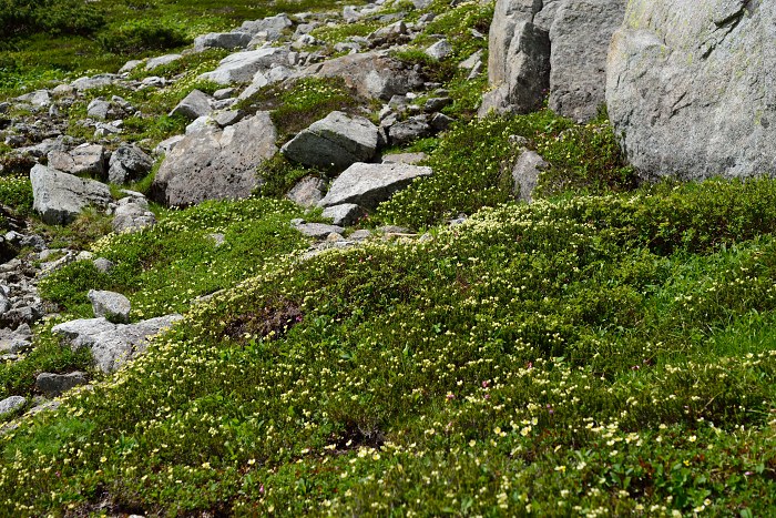 d0341880_7585940.jpg