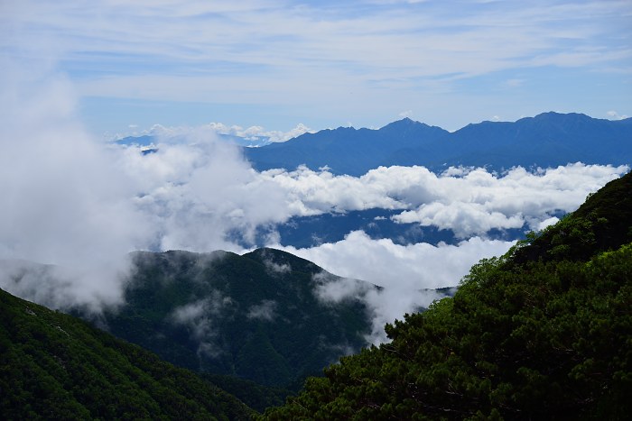 d0341880_7593265.jpg