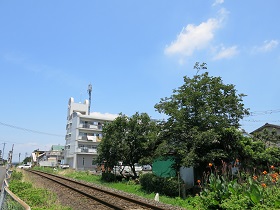 e0130185_1375042.jpg