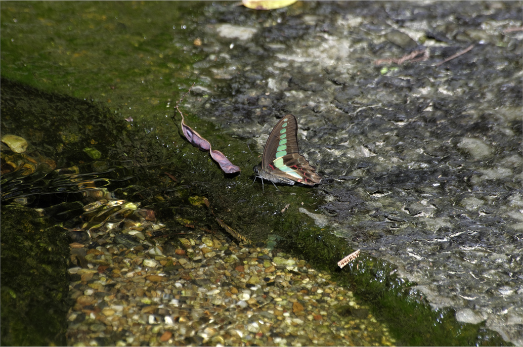 d0209988_21345284.jpg