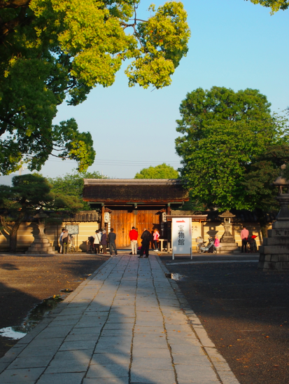a0146493_21182636.png