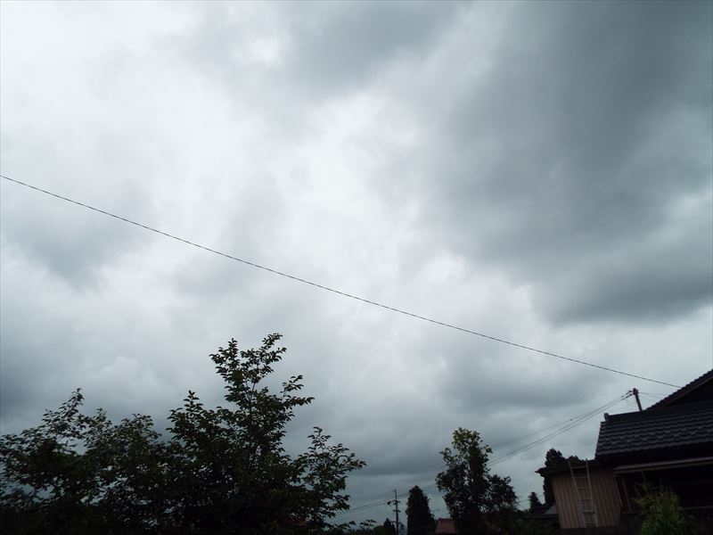 c0108198_16105163.jpg