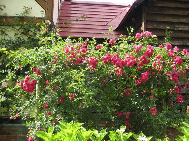 f0316507_17182222.jpg
