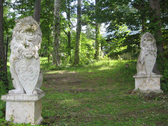 f0316507_17211605.jpg