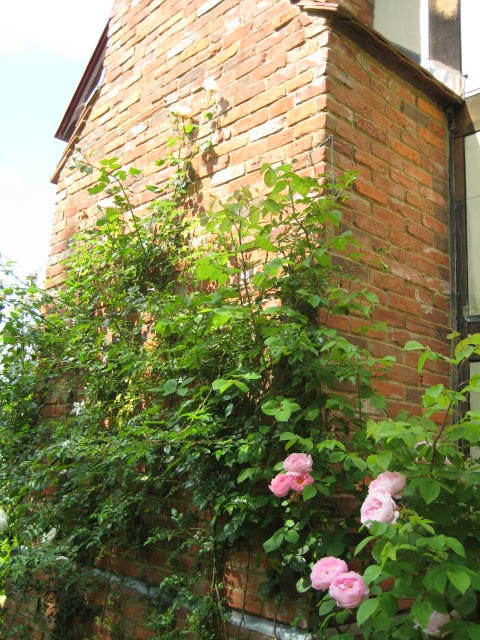 f0316507_17212907.jpg