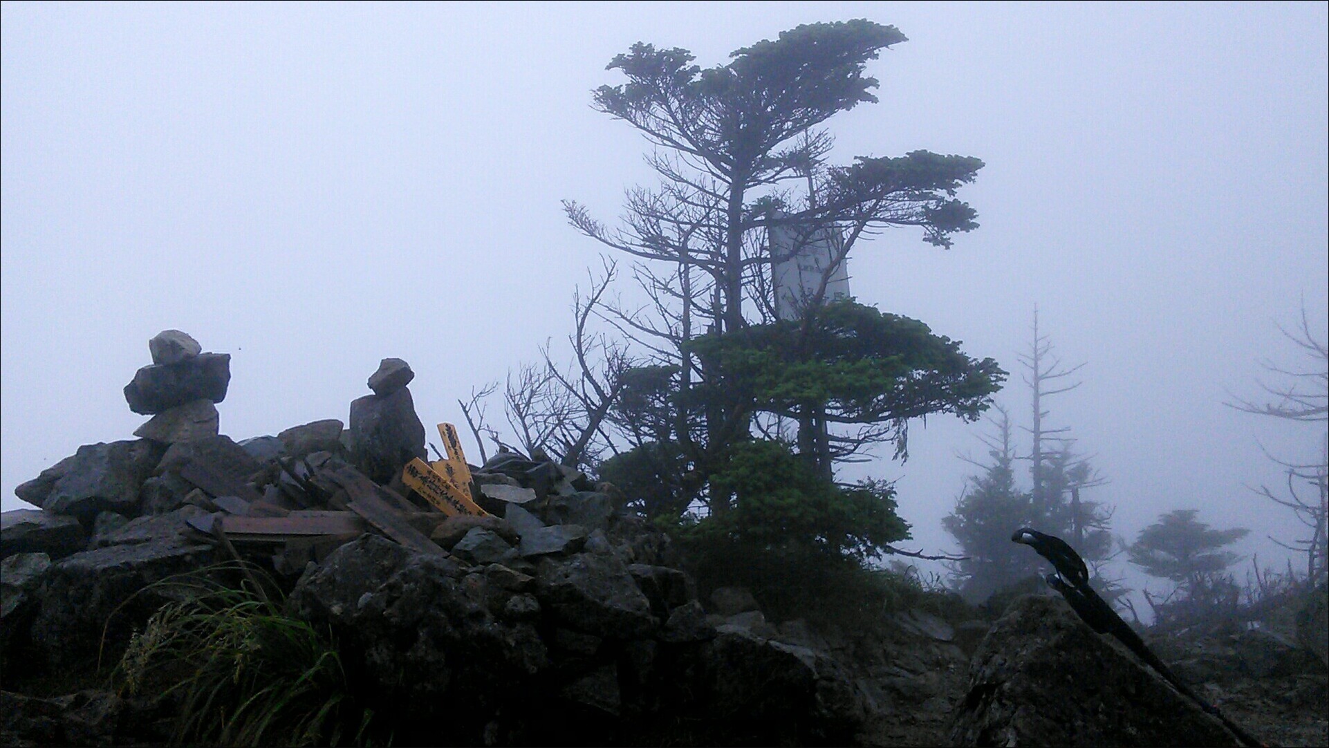 b0086909_05052800.jpg