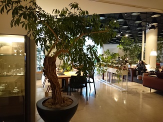 d0091909_17271514.jpg