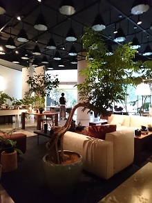 d0091909_17272568.jpg