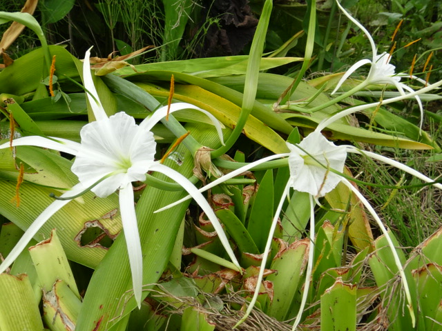 f0231709_14254441.jpg