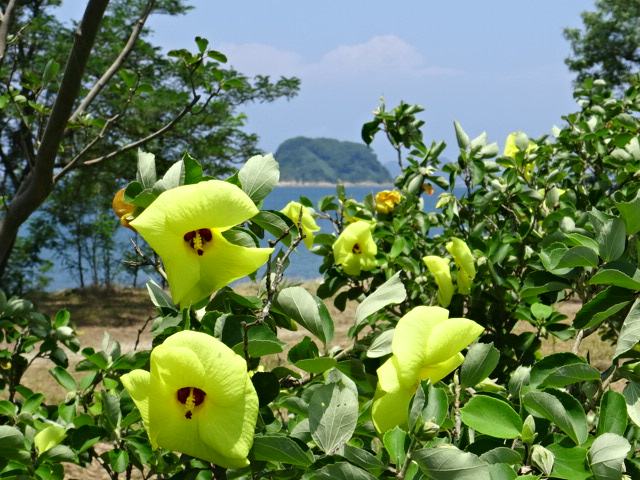 f0231709_615458.jpg