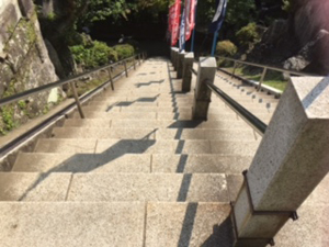 f0007636_1026593.jpg