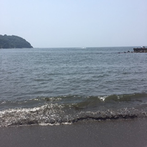 f0007636_9504037.jpg