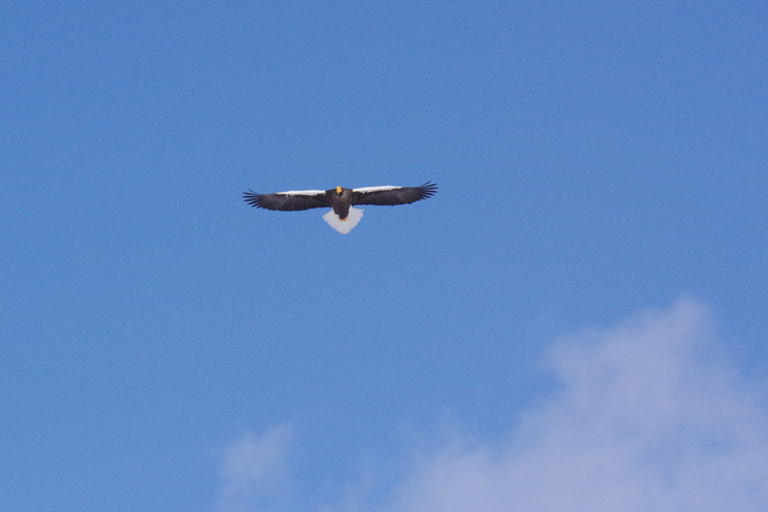 b0247838_18173737.jpg