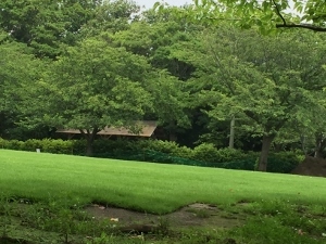 d0299559_23012965.jpg