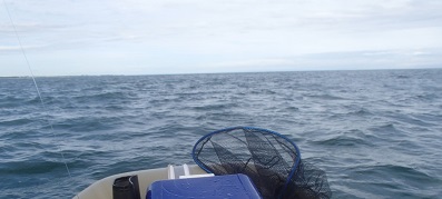 e0108765_18565621.jpg