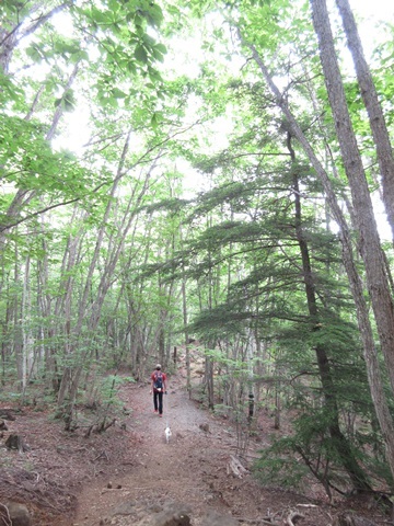 f0100871_22445348.jpg