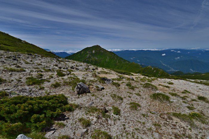 d0341880_719533.jpg
