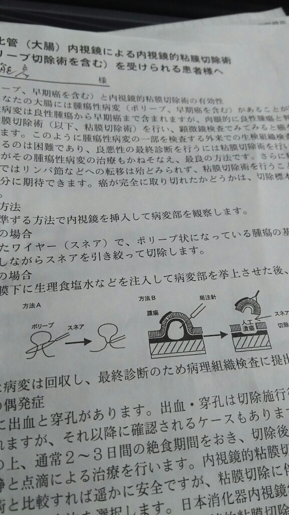 f0085291_10142831.jpg