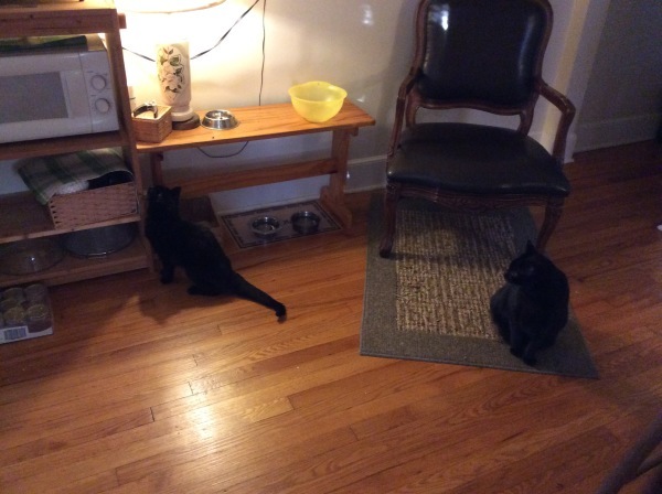 d0130296_19584741.jpeg