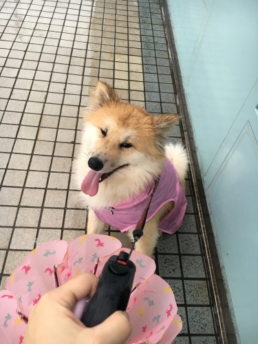 c0311400_05524556.jpeg