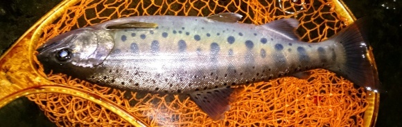 f0266202_16301401.jpg
