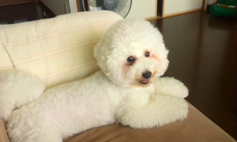 c0369304_23401327.jpg