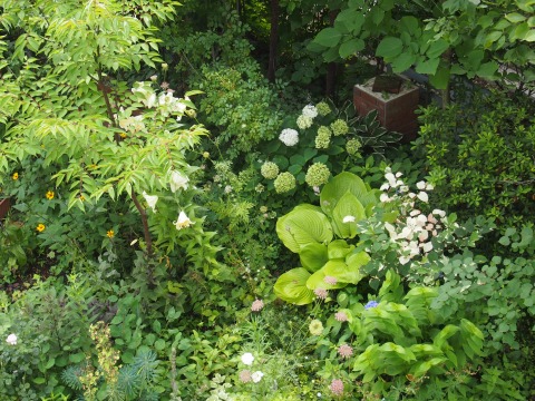 c0117007_2322618.jpg