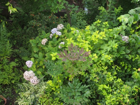 c0117007_23251642.jpg