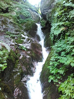 c0359615_15054870.jpg