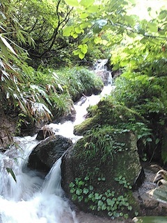 c0359615_15070069.jpg
