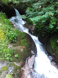 c0359615_15074971.jpg