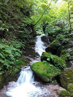 c0359615_15080655.jpg
