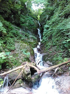 c0359615_15082486.jpg