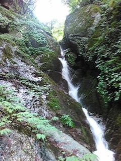 c0359615_15083857.jpg