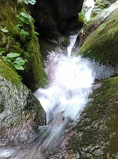 c0359615_15084802.jpg