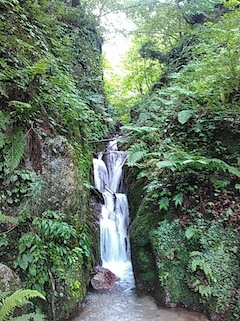 c0359615_15090895.jpg