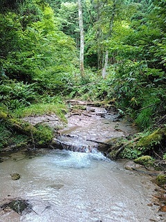 c0359615_15093431.jpg