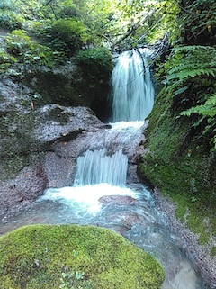 c0359615_15095336.jpg