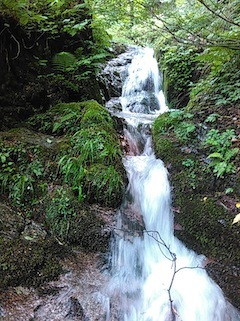 c0359615_15100428.jpg