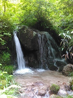 c0359615_15101669.jpg