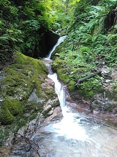 c0359615_15103017.jpg