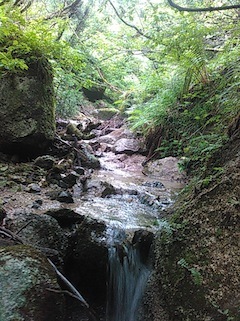 c0359615_15104643.jpg