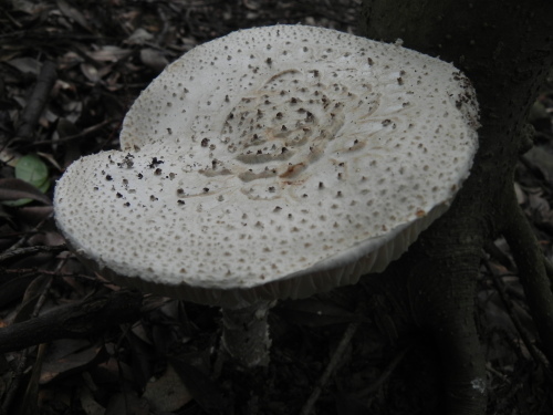 e0352220_22515392.jpg