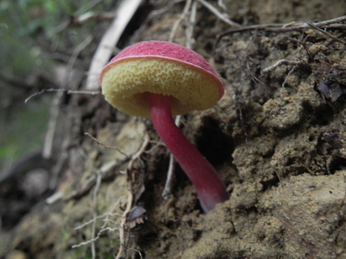 e0352220_23045234.jpg