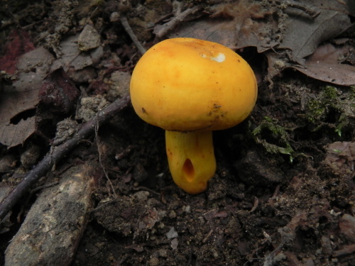 e0352220_23063944.jpg