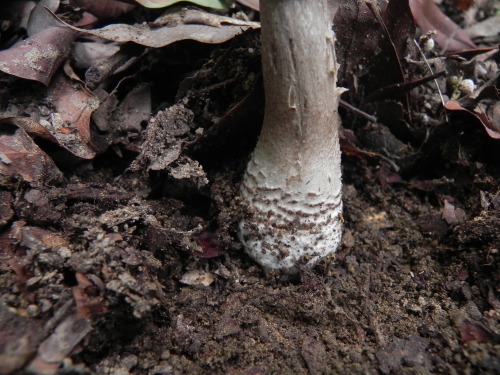 e0352220_23080201.jpg