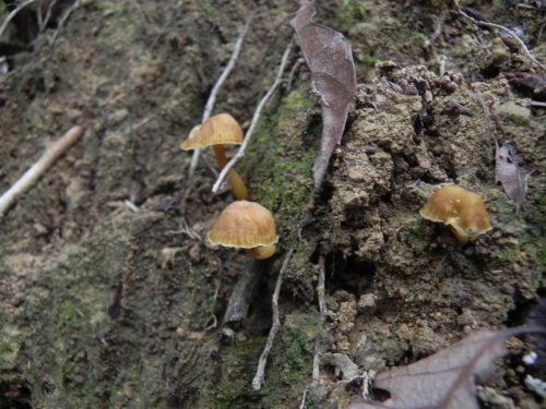 e0352220_23095670.jpg