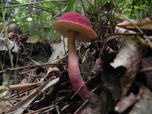 e0352220_23133979.jpg